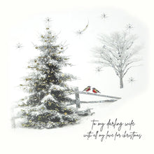 Load image into Gallery viewer, Five Dollar Shake Christmas Card To My Darling Wife With Love
