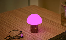 Load image into Gallery viewer, Ginkgo Design Super Mini Alice Mushroom Lamp / Walnut