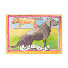 Load image into Gallery viewer, The Matchbox Maker Boxed Safety Matches Loyal Labs Illustrated By Matthew Rice