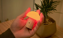 Load image into Gallery viewer, Ginkgo Design Super Mini Alice Mushroom Lamp / White Ash