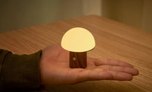 Load image into Gallery viewer, Ginkgo Design Super Mini Alice Mushroom Lamp / Walnut