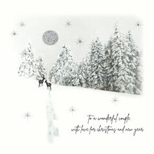 Load image into Gallery viewer, Five Dollar Shake Christmas Card To a Wonderful Couple With Love
