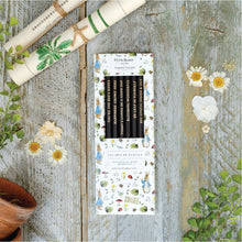 Load image into Gallery viewer, Toasted Crumpet Peter Rabbit “Fresh Meadow Breeze” Set of 6 Pencils