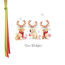 Load image into Gallery viewer, Five Dollar Shake Ribbon Candy Team Rudolph! Small Christmas Card