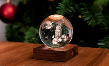 Load image into Gallery viewer, Ginkgo Design Amber Crystal Light / Owl Moon