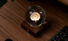 Load image into Gallery viewer, Ginkgo Design Amber Crystal Light / Dandelion