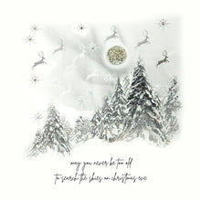 Load image into Gallery viewer, Five Dollar Shake Christmas Card May You Never Be Too Old To Search The Skies