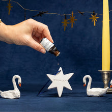 Load image into Gallery viewer, Bramley The North Star Diffuser Gift Set with Cinnamon, Sweet Orange & Cedarwood