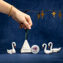 Load image into Gallery viewer, Bramley Starlight Lip Balm Tree Decoration with Willowherb, Clementine & Sea Buckthorn
