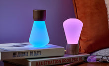 Load image into Gallery viewer, Ginkgo Design Mini Pentagon Desk Bulb / White Ash