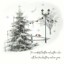 Load image into Gallery viewer, Five Dollar Shake Christmas Card To a Wonderful Brother & Sister in Law