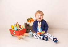 Load image into Gallery viewer, Blade & Rose Peter Rabbit Navy Top / 0-3 Years
