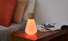 Load image into Gallery viewer, Ginkgo Design Mini Pentagon Desk Bulb / White Ash