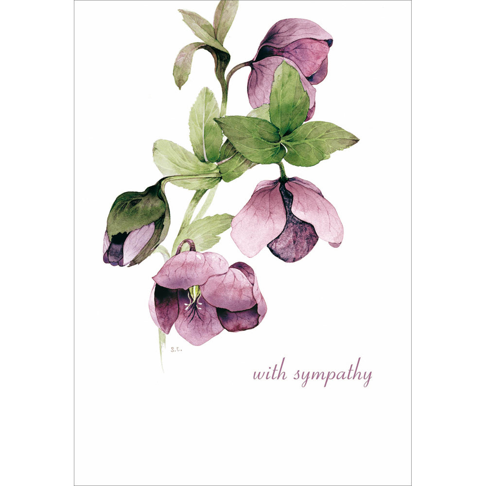 Woodmansterne Lilac Hellebore With Sympathy Card