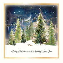 Load image into Gallery viewer, Five Dollar Shake Christmas Magic Boxed Set Of 6 Christmas Cards / Merry Christmas and a Happy New Year (Fox)