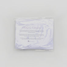 Load image into Gallery viewer, PM2.5 Replaceable Filters 6pk