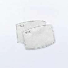 Load image into Gallery viewer, PM2.5 Replaceable Filters 6pk