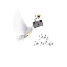 Load image into Gallery viewer, Five Dollar Shake Sending Love For Easter Card