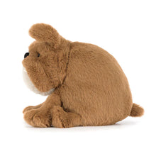Load image into Gallery viewer, Jellycat Derreck Dog Soft Toy
