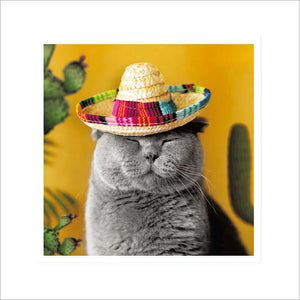 Woodmansterne Shenanigans Mexicat Card
