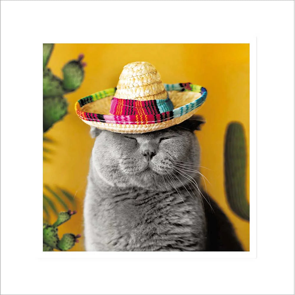 Woodmansterne Shenanigans Mexicat Card
