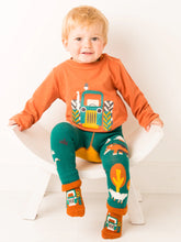 Load image into Gallery viewer, Blade &amp; Rose Rustic Farmyard Socks / 0-2 Years

