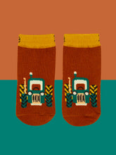 Load image into Gallery viewer, Blade &amp; Rose Rustic Farmyard Socks / 0-2 Years
