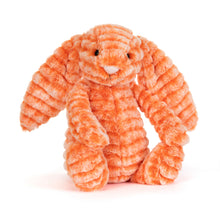 Load image into Gallery viewer, Jellycat Bashful Luxe Bunny Fizzleskip Soft Toy
