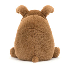 Load image into Gallery viewer, Jellycat Derreck Dog Soft Toy
