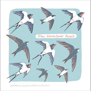 Woodmansterne Soaring Into a New Chapter Card