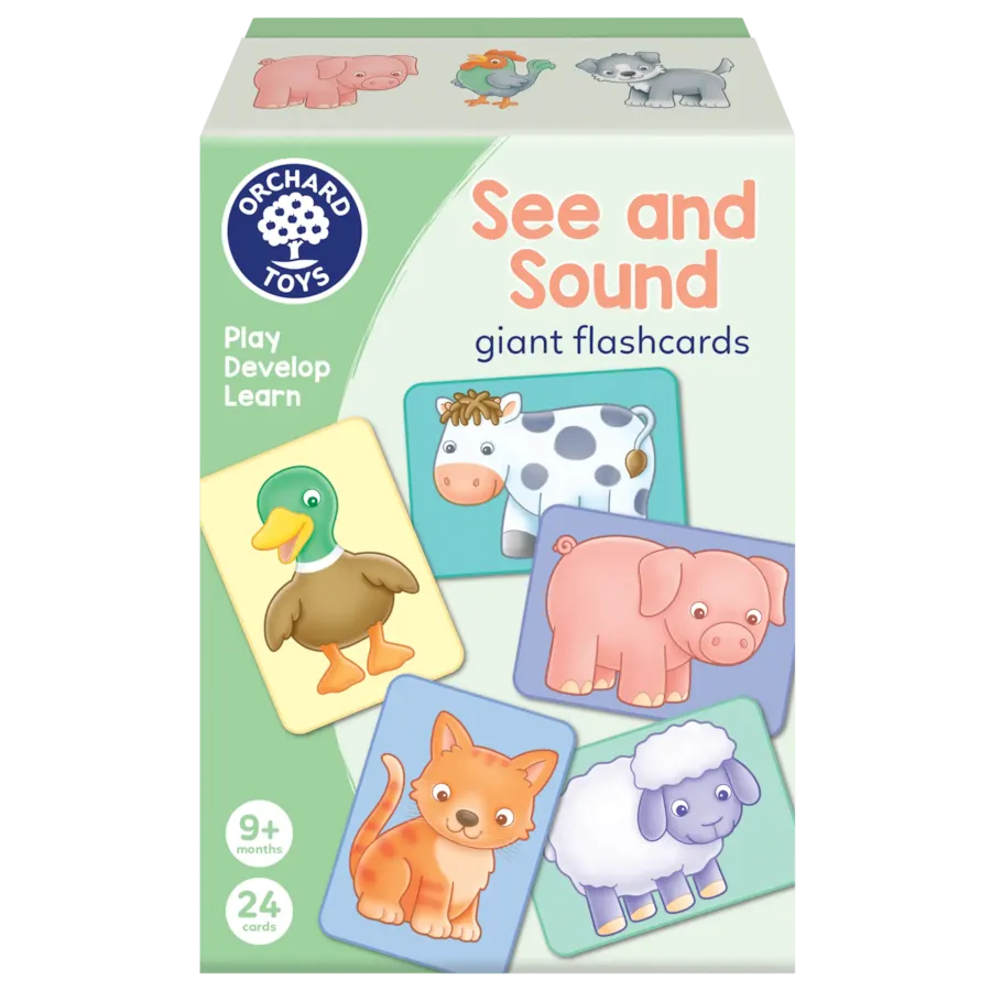 Orchard Toys See & Sound Giant Flashcards Game