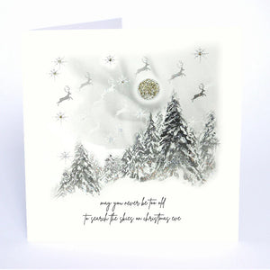 Five Dollar Shake Christmas Card May You Never Be Too Old To Search The Skies