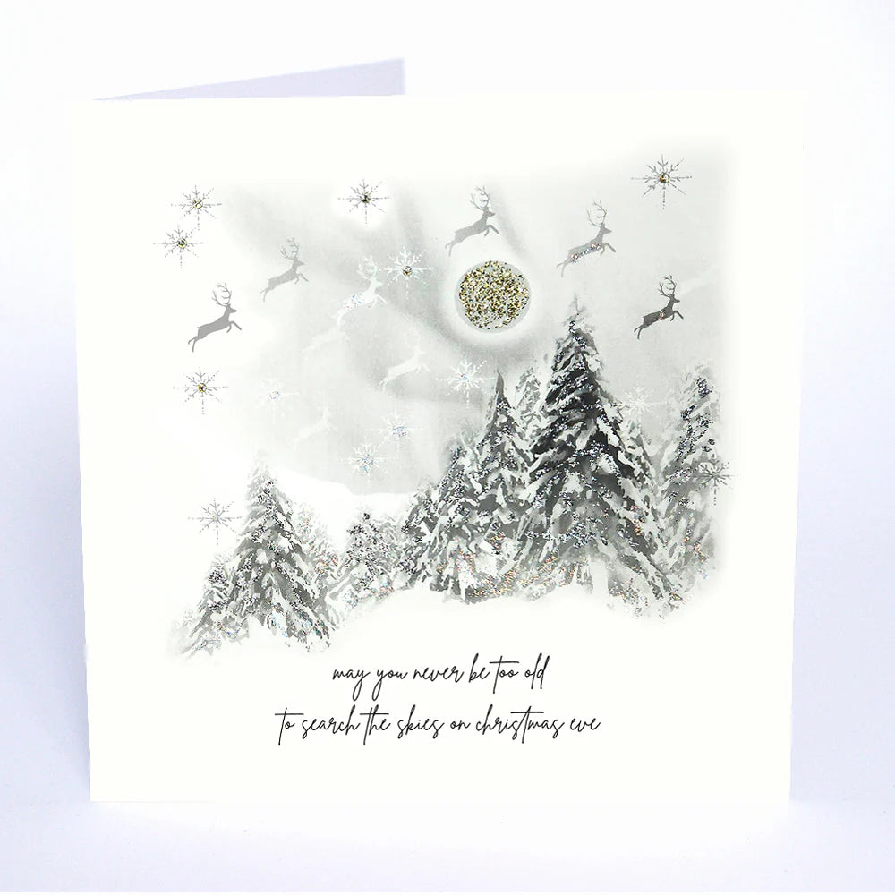 Five Dollar Shake Christmas Card May You Never Be Too Old To Search The Skies