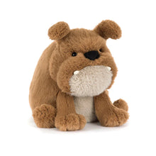 Load image into Gallery viewer, Jellycat Derreck Dog Soft Toy
