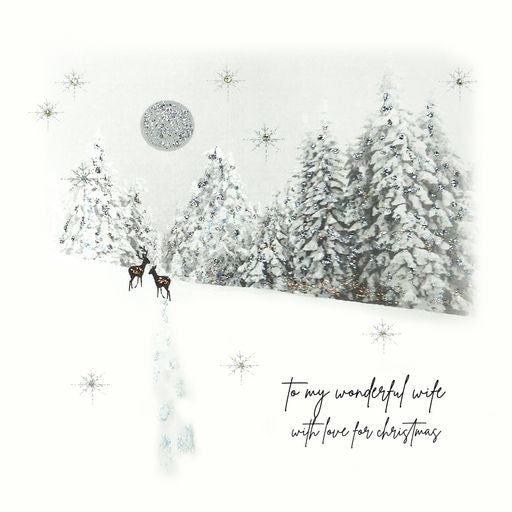 Five Dollar Shake Christmas Card To My Wonderful Wife With Love