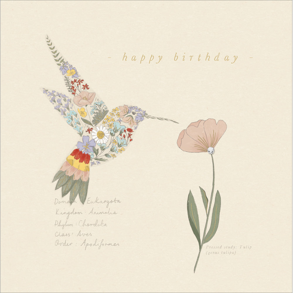 The Proper Mail Company Flying Free Birthday Card