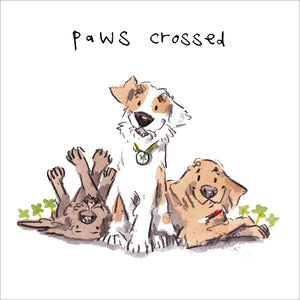 Woodmansterne Paws Crossed Greeting Card