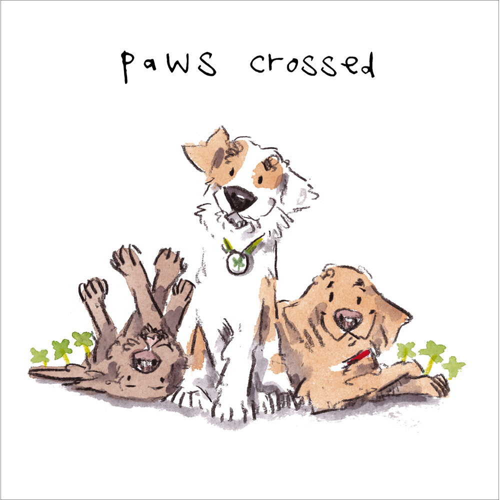 Woodmansterne Paws Crossed Greeting Card