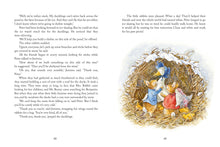 Load image into Gallery viewer, Peter Rabbit Christmas Is Coming Countdown /Advent Book
