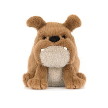 Load image into Gallery viewer, Jellycat Derreck Dog Soft Toy
