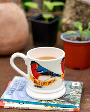 Load image into Gallery viewer, Emma Bridgewater Bullfinch 1/2 Pint Mug
