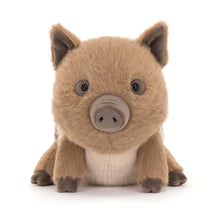 Load image into Gallery viewer, Jellycat Swinley Boar Soft Toy
