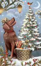 Load image into Gallery viewer, Paper D’Art Santa’s Dog Sleigh, 3D Pop Up Christmas Greetings Card
