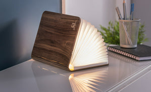 Ginkgo Design Mini Smart Booklight / Walnut