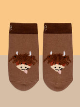 Load image into Gallery viewer, Blade &amp; Rose Neutral Hamish The Highland Cow Socks / 0-2 Years
