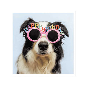 Woodmansterne Shenanigans Party Pup Card