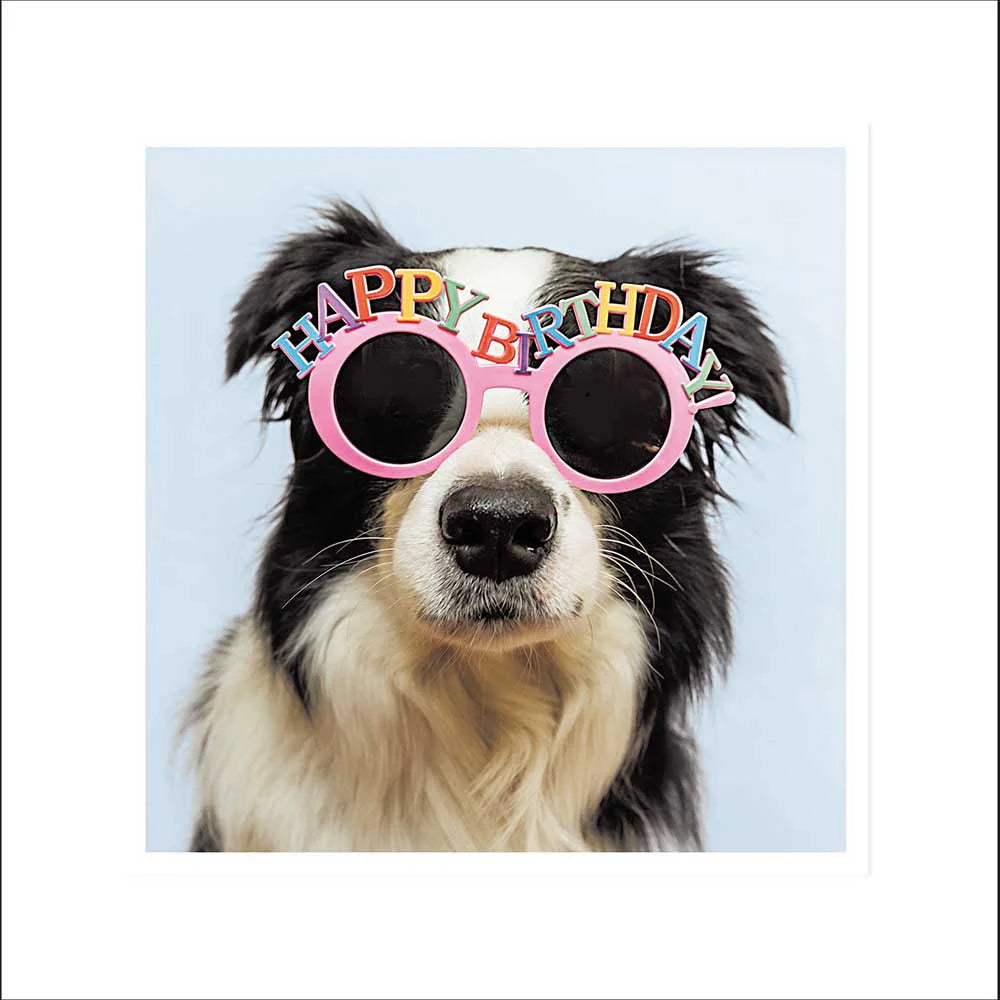 Woodmansterne Shenanigans Party Pup Card