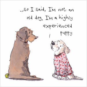 Woodmansterne Old Dog Wise Words Greeting Card