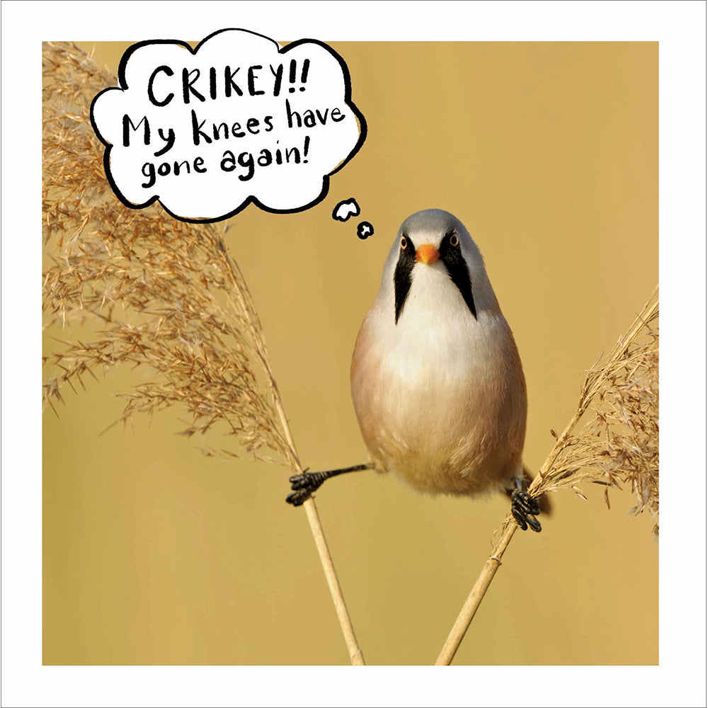 Woodmansterne Creaky Knees Birthday Card