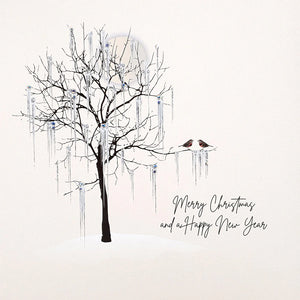 Five Dollar Shake Merry Christmas and a Happy New Year (Robins) Christmas Card